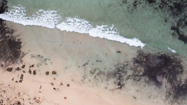 Aerial drone beach portrait